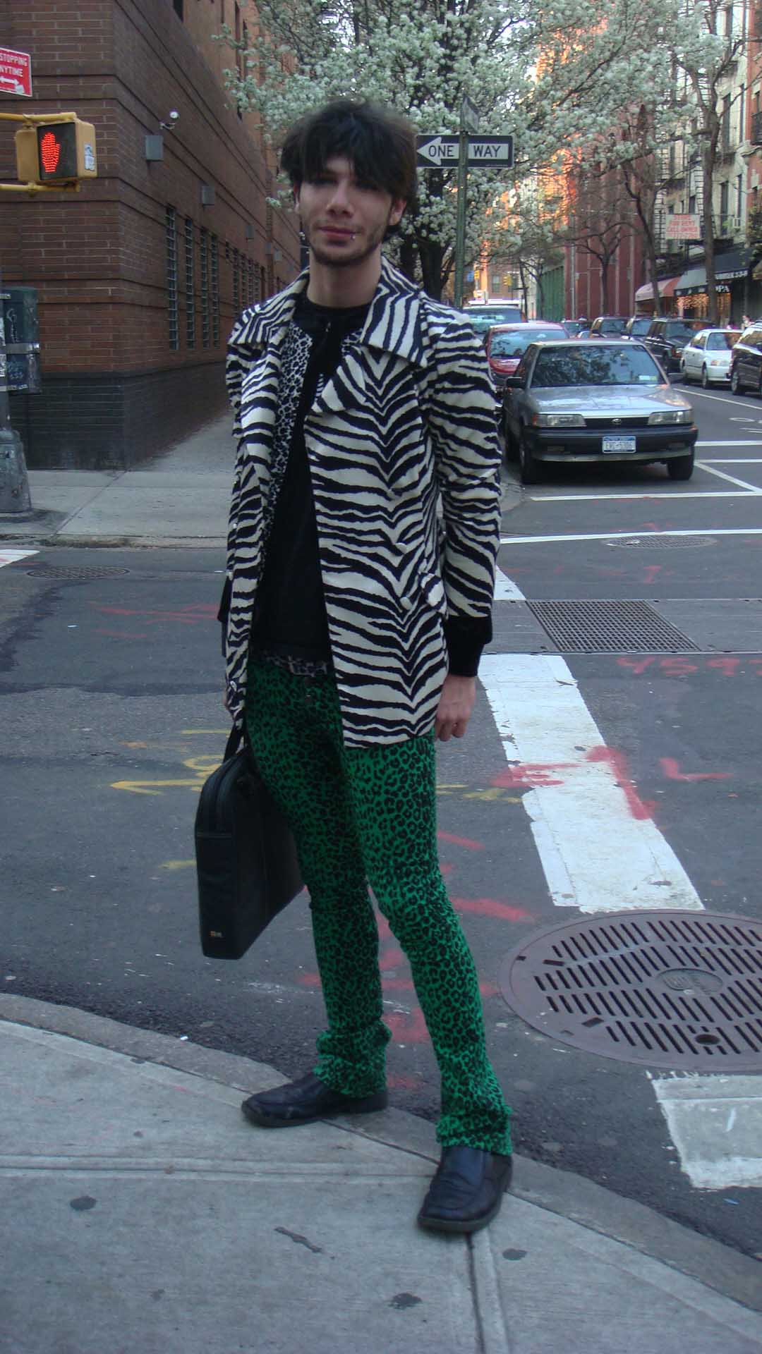 RAWR print (NY)