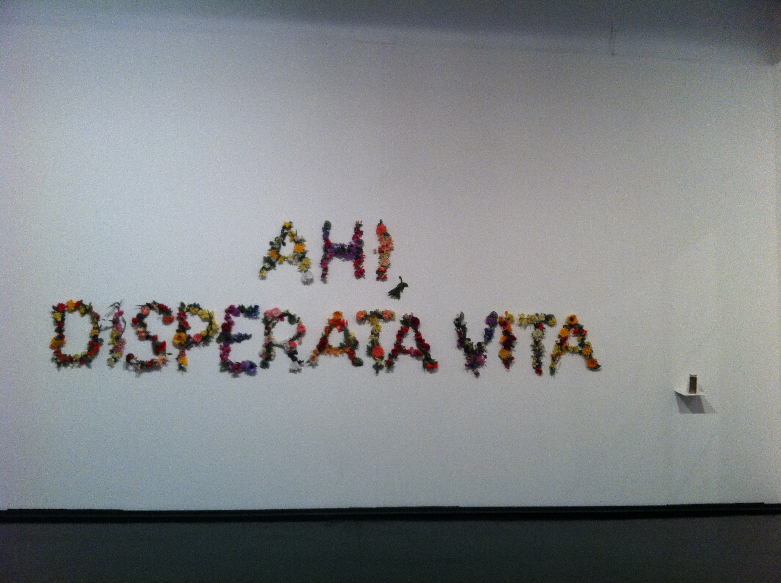 Ah! Disperata Vita (Venice)