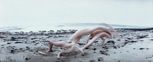 Metamorphose by Frederic Fontenoy