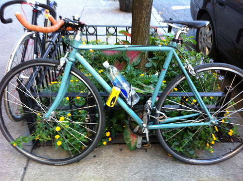 IMG_4703 bicis