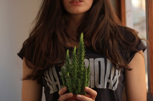 Cactus (Barcelona)