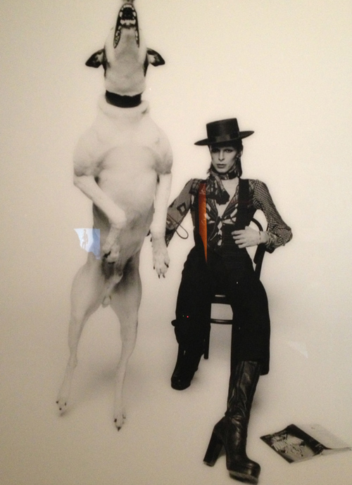 David Bowie is