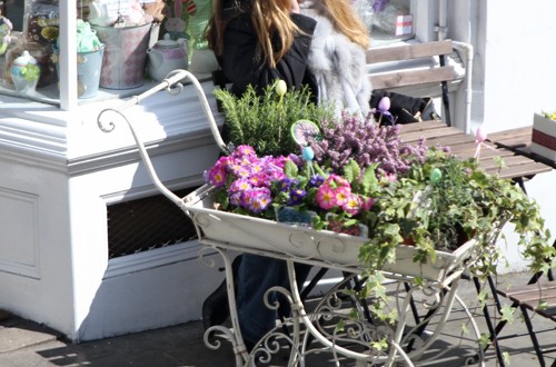 Rodeada de flores (London)
