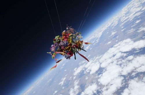 Las flores sin límites de Azuma Makoto
