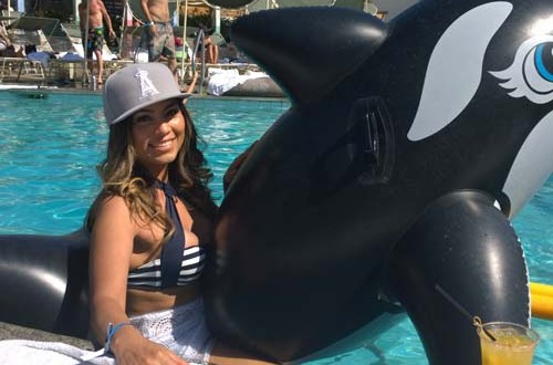 La orca Willy (Coachella)