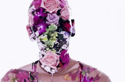 Holy Flowers