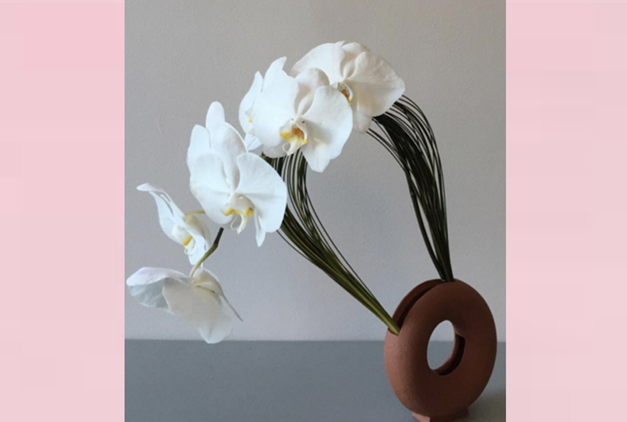 meta-flora-6