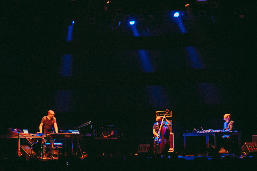MUTEK_25