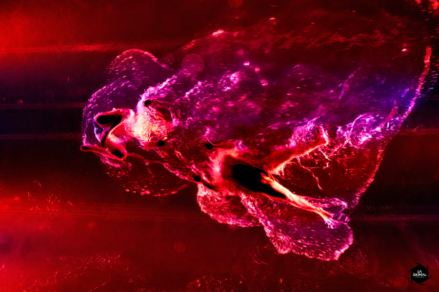 fuerza_bruta_by_la_skimal006