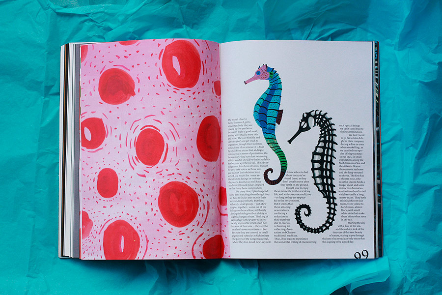 agapornis magazine