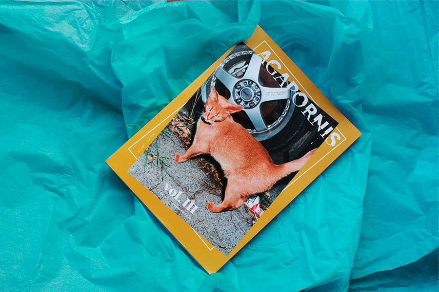 agapornis-magazine-portada-2