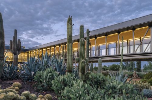 El jardín de cactus más grande de Europa