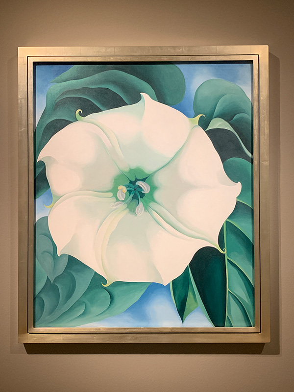 Georgia O'Keeffe flor