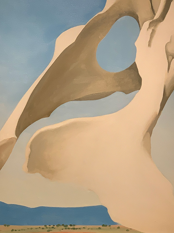 Georgia O'Keeffe flor pelvis
