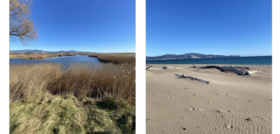 Parque Natural de los Aiguamolls de l'Empordà