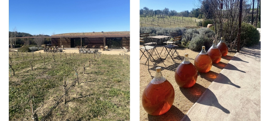 Vins de Taller
