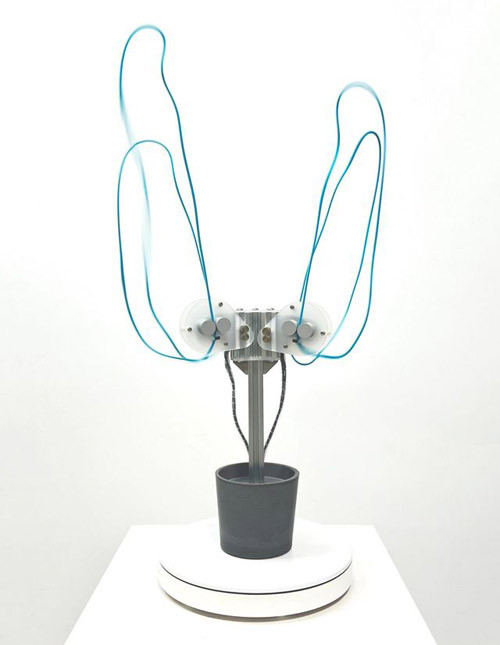 SS SPACE SPACE_ TAIPEI_ Chih Chiu_Lasso Plant